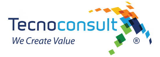 Tecnoconsult LOGO Ingles